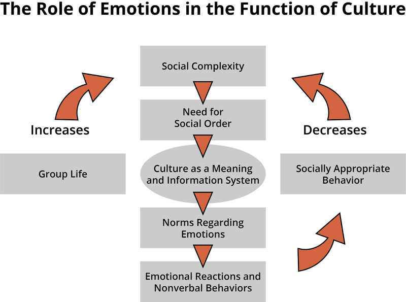 function of emotions