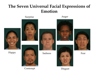 The meaning of facial expressions