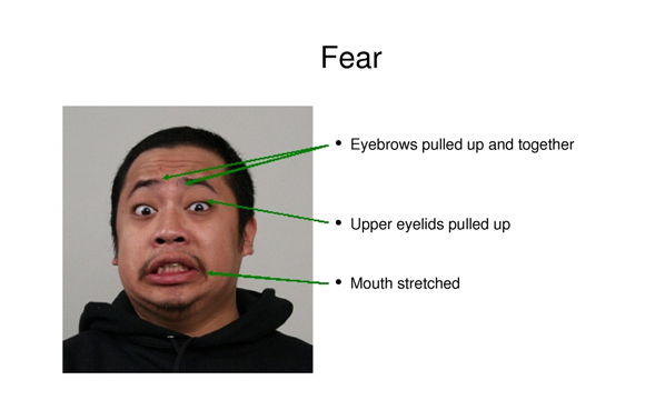Face of fear: how a terrified expression could keep you alive