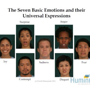 Arguments Against Facial Expressions