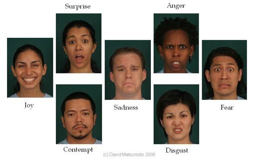 universality of facial expressions