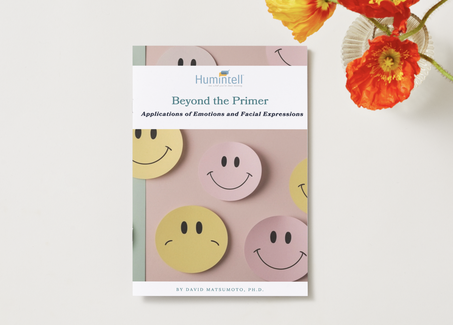 Beyond the Primer: Applications