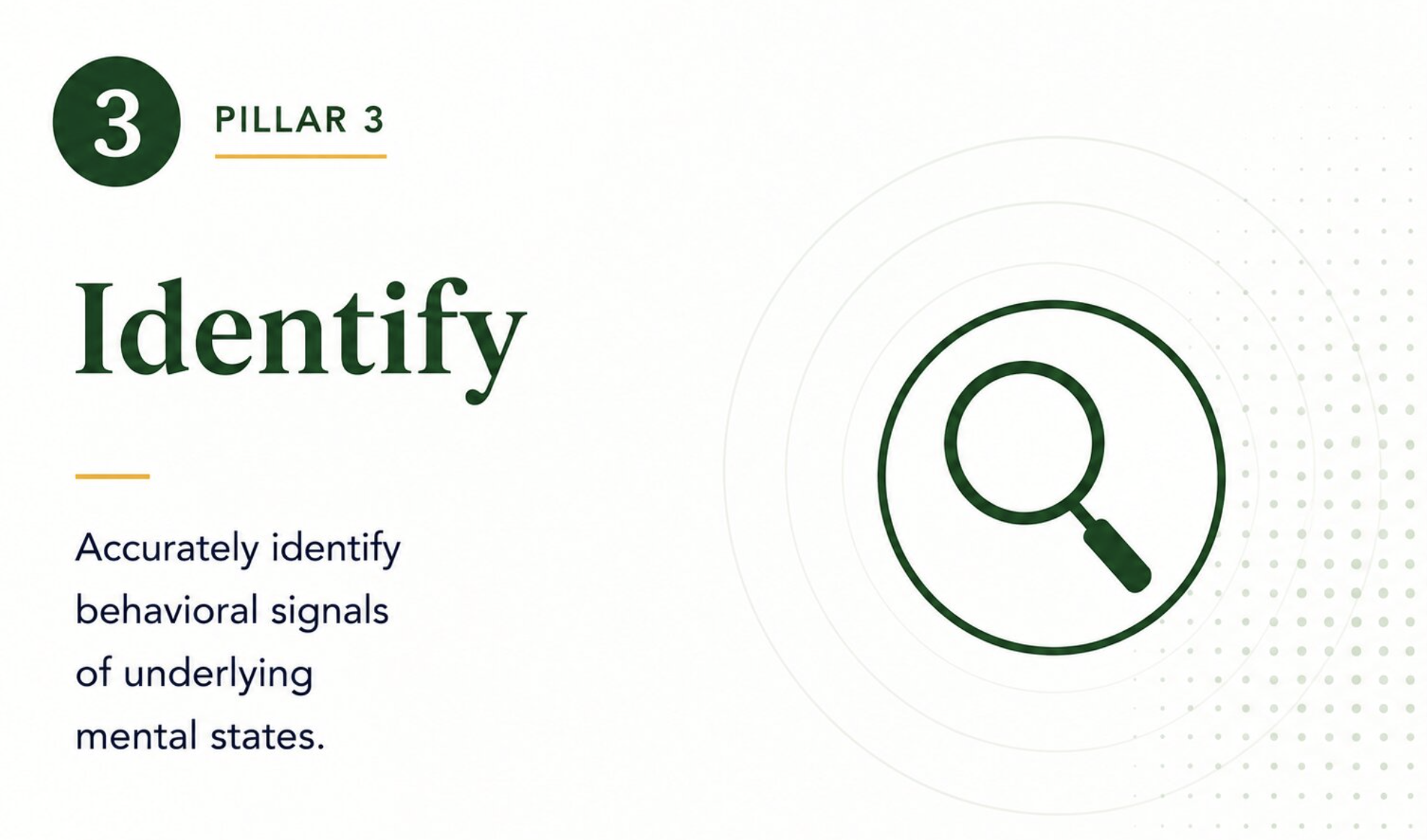 Pillar 3 Identify